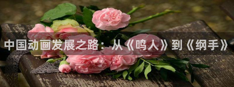 汗汗漫画网站入口：中国动画发展之路：从《鸣人》到《纲手》