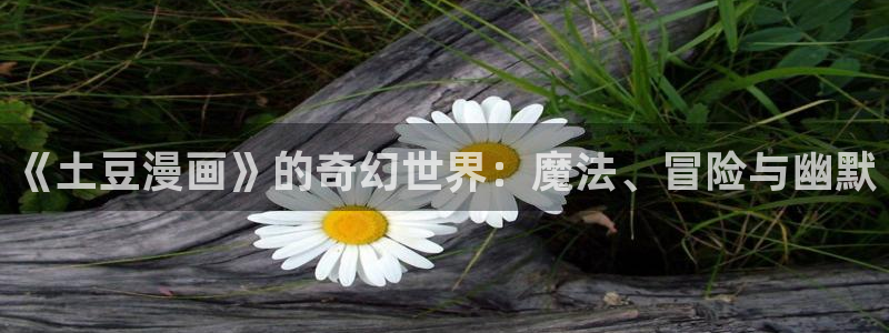 汗汗漫画+cc：《土豆漫画》的奇幻世界：魔法、冒险与幽默