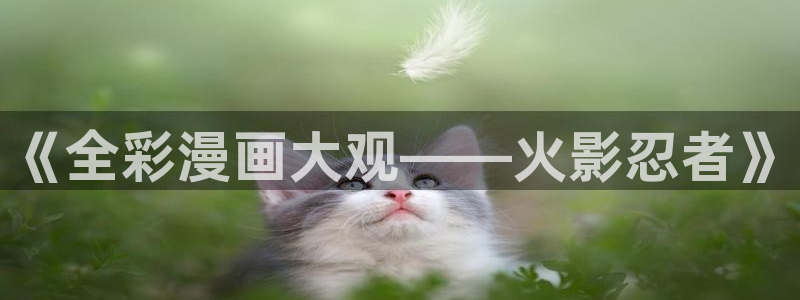 汗汗漫画免费漫画页面在线看漫画：《全彩漫画大观——火影忍者》